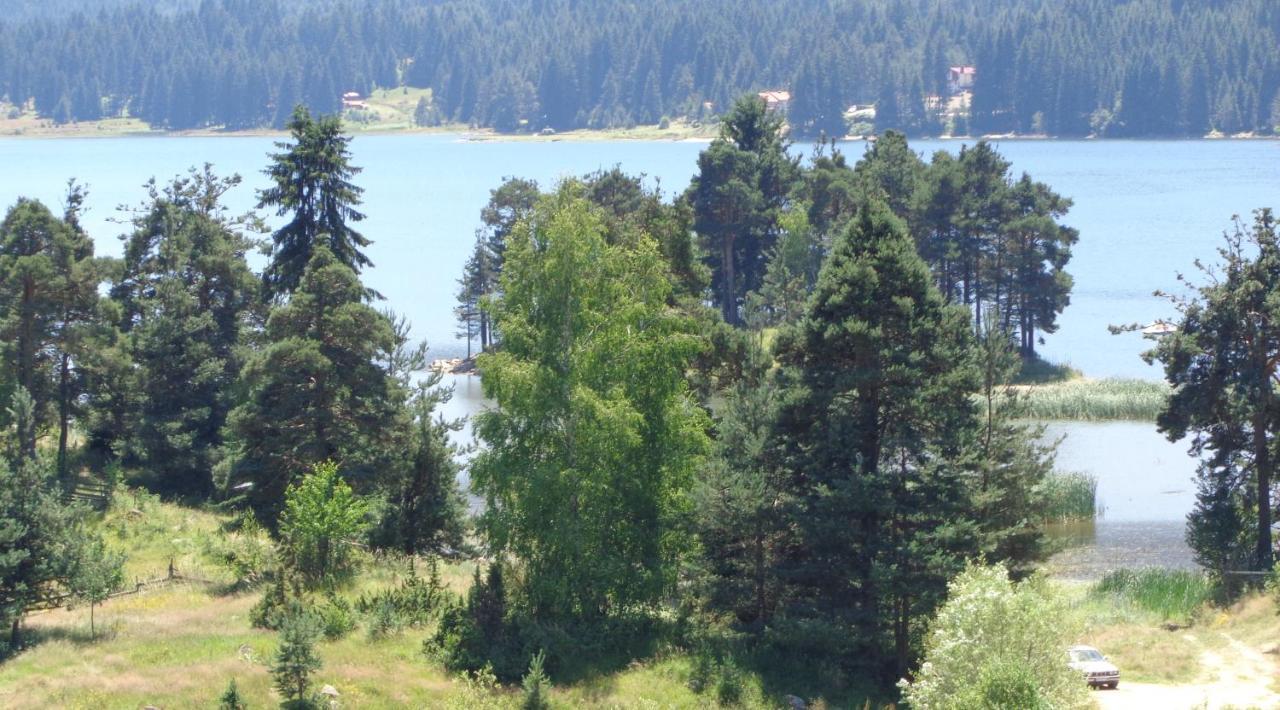 Family Hotel Panorama Сърница Екстериор снимка