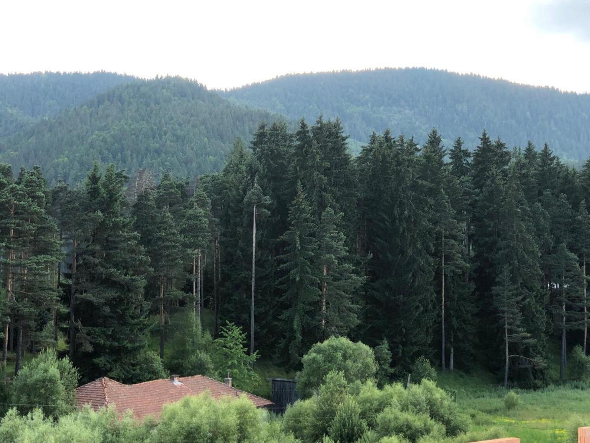Family Hotel Panorama Сърница Екстериор снимка